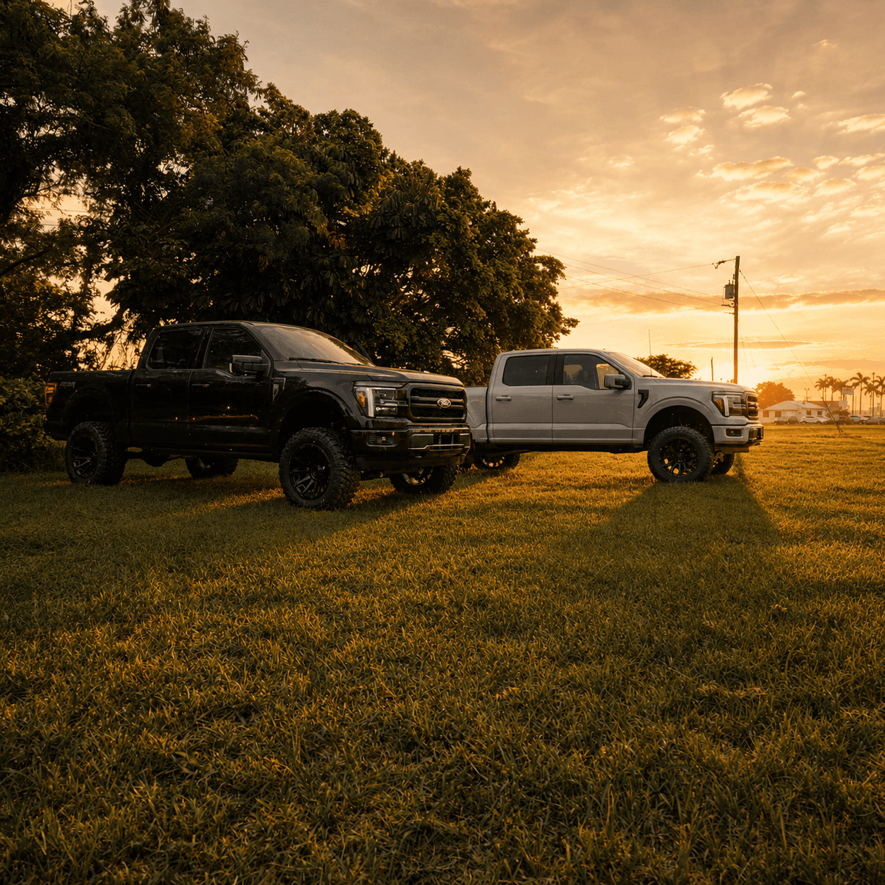 Two completed HGreg Lifted F-150 builds at sunset